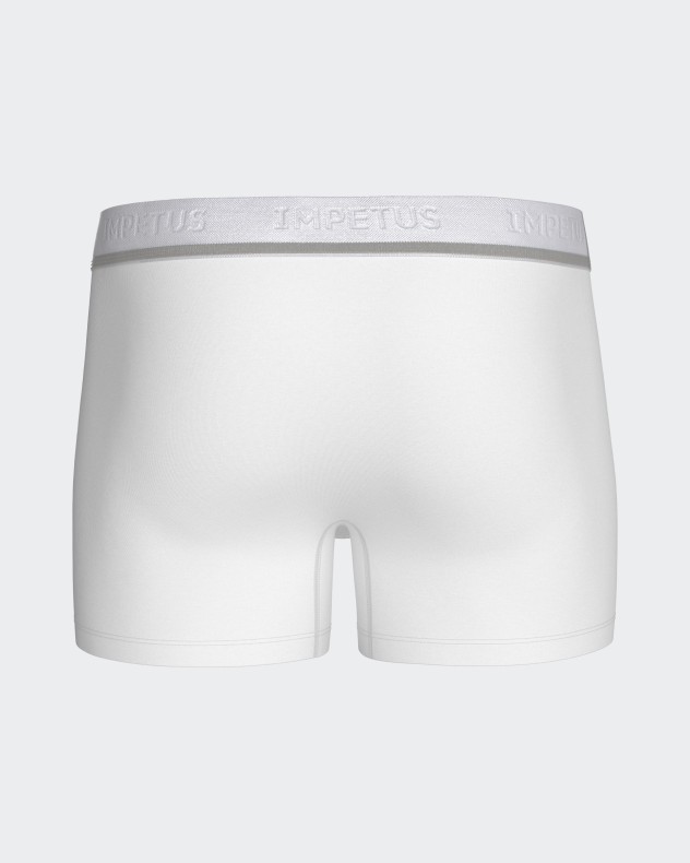 Packung mit 2 Herren Boxershorts Cotton Stretch
