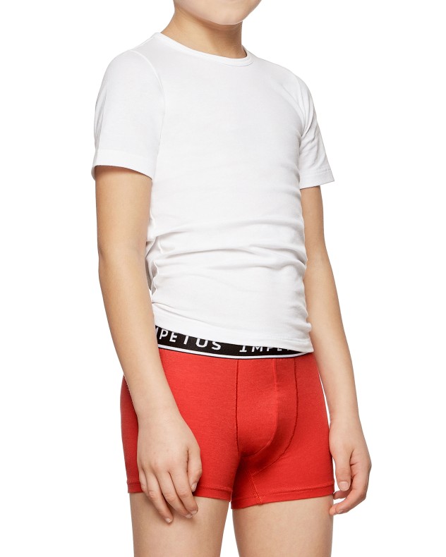 Lot de 2 boxers de garçon en Coton