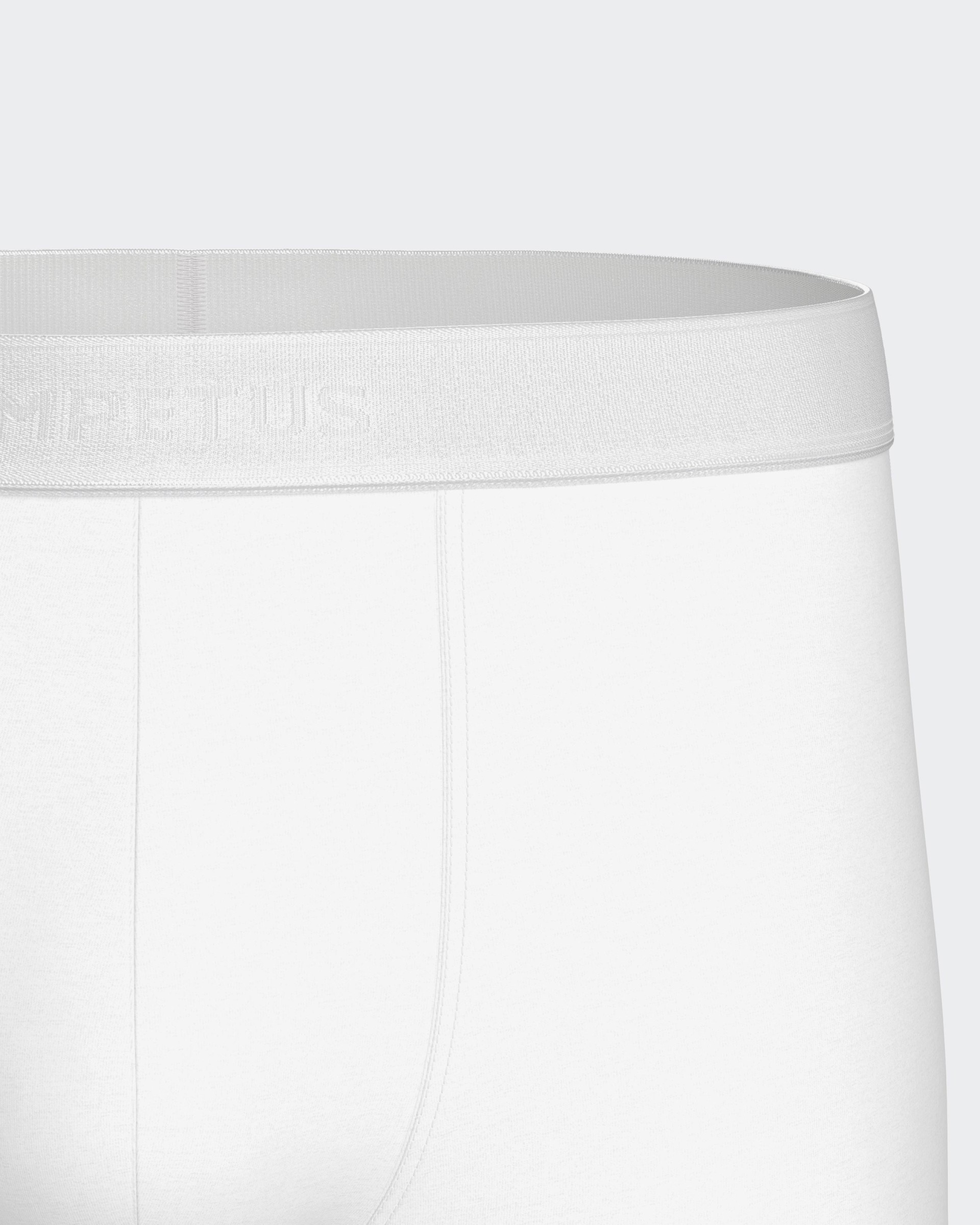 Boxer de homem Executive