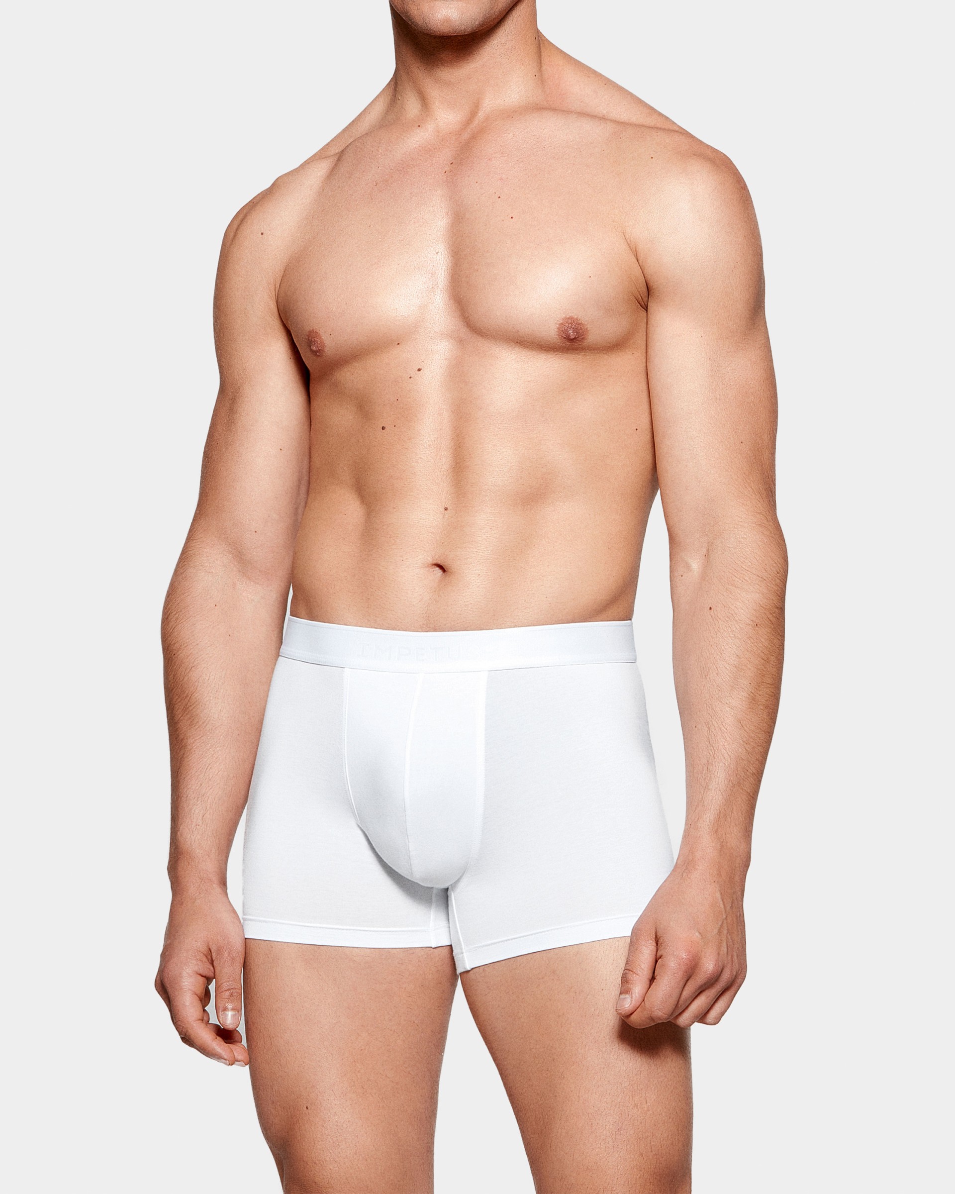 Boxer de homem Executive