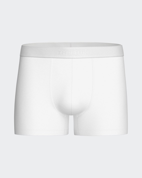 Boxer de hombre Executive