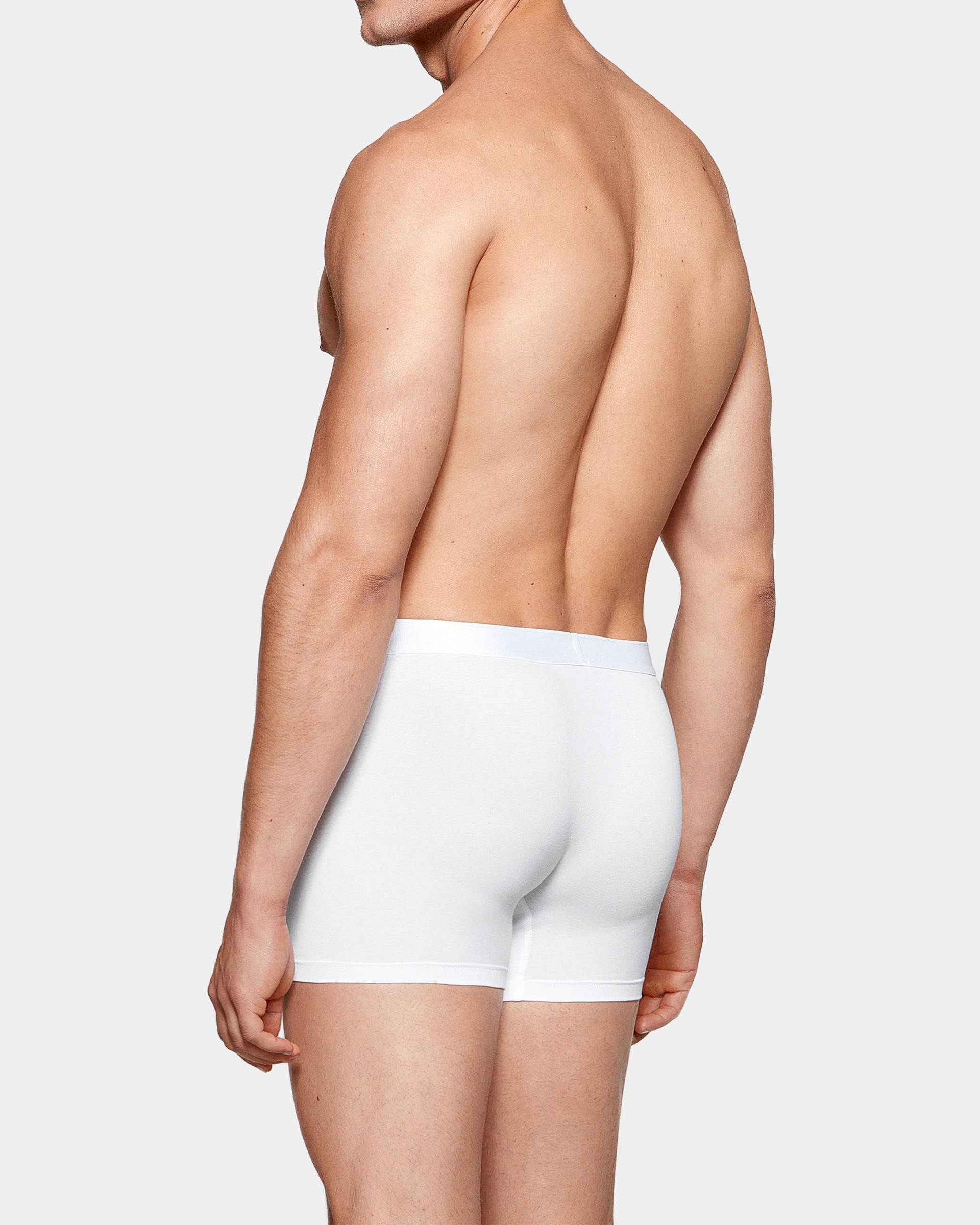 Boxer de homem Executive