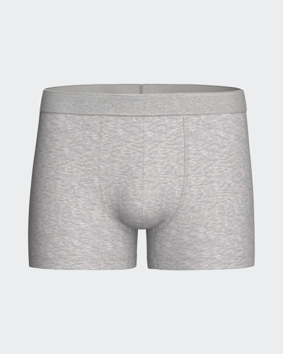 Boxer de homem Executive