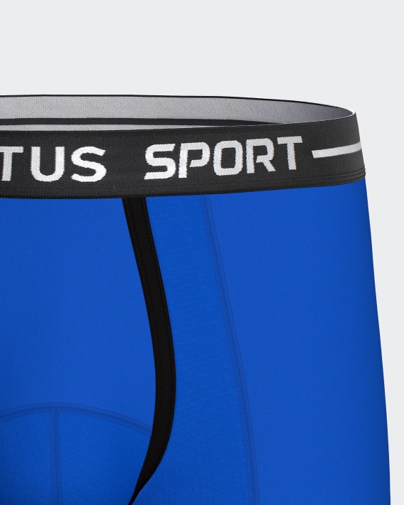 Boxer Sport