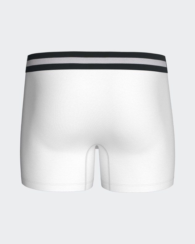 Plain boxer in cotton