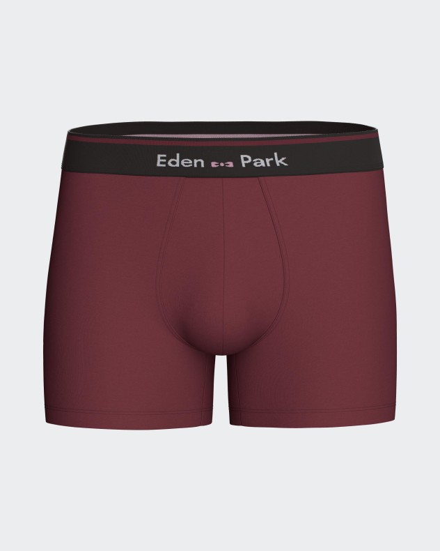 Plain boxer Eden Park - Image product