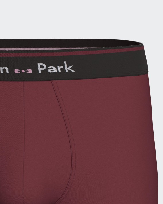 Plain boxer Eden Park