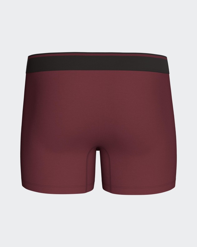 Plain boxer Eden Park