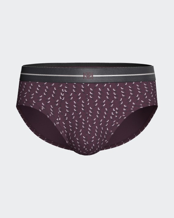 Pack of 2 men's briefs in Modal Cotton