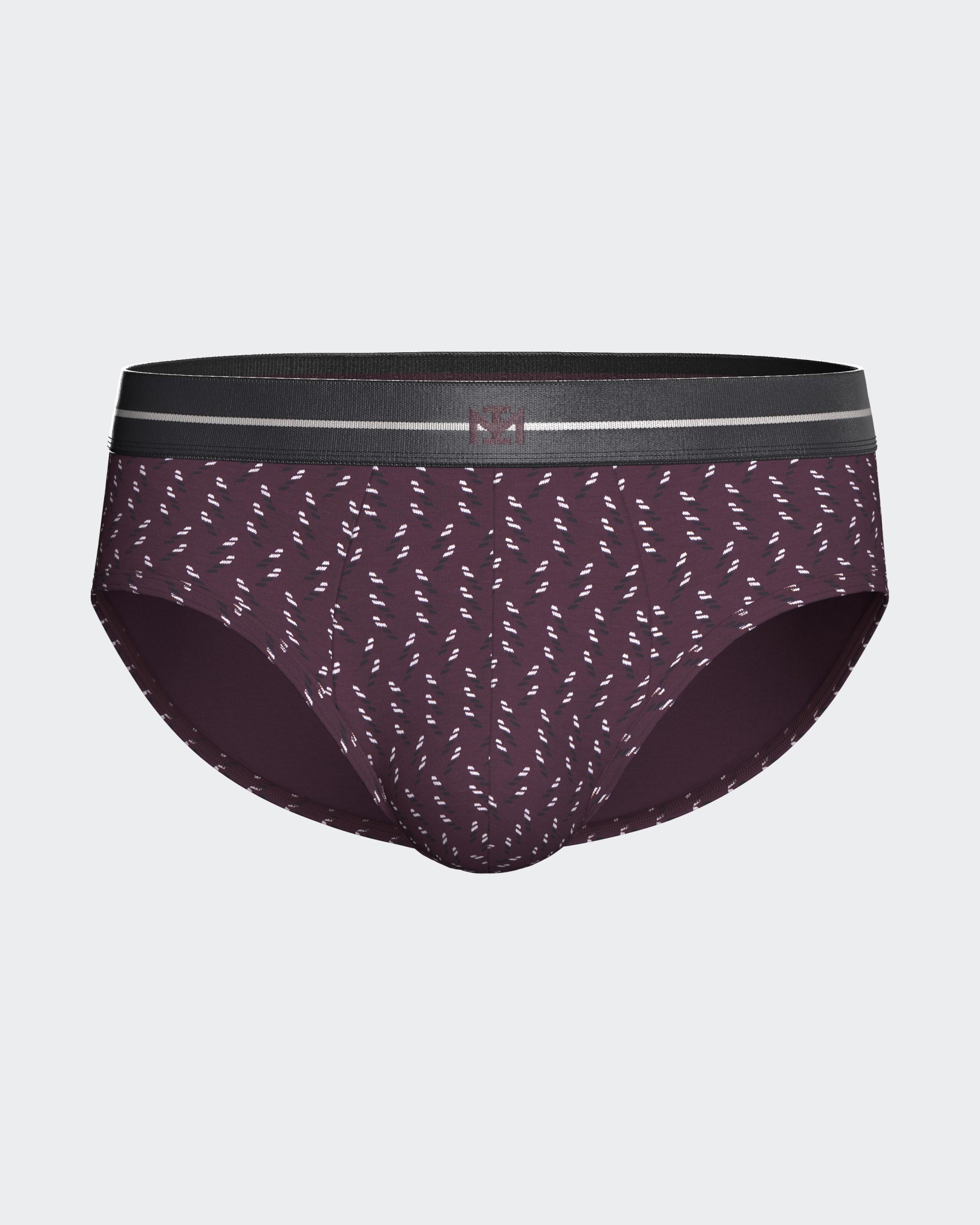 Pack of 2 men's briefs in Modal Cotton