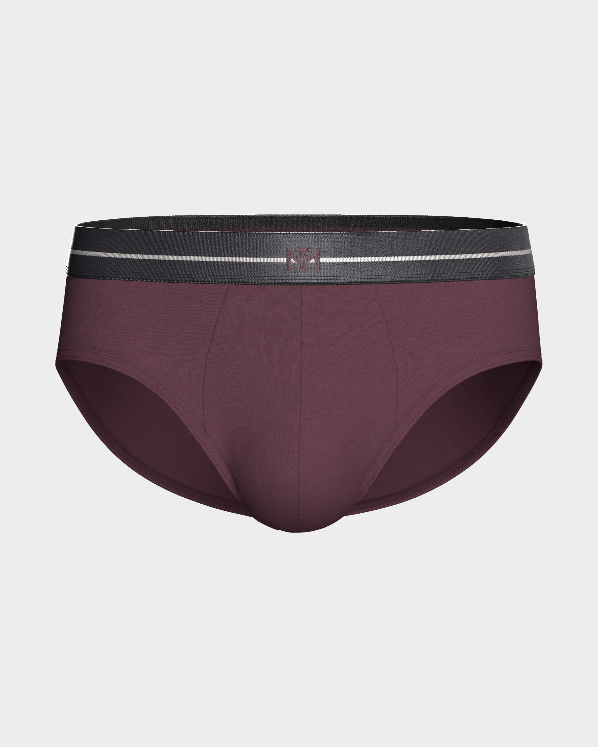 Pack of 2 men's briefs in Modal Cotton