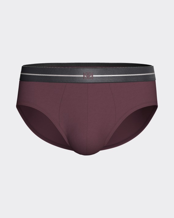 Pack of 2 men's briefs in Modal Cotton