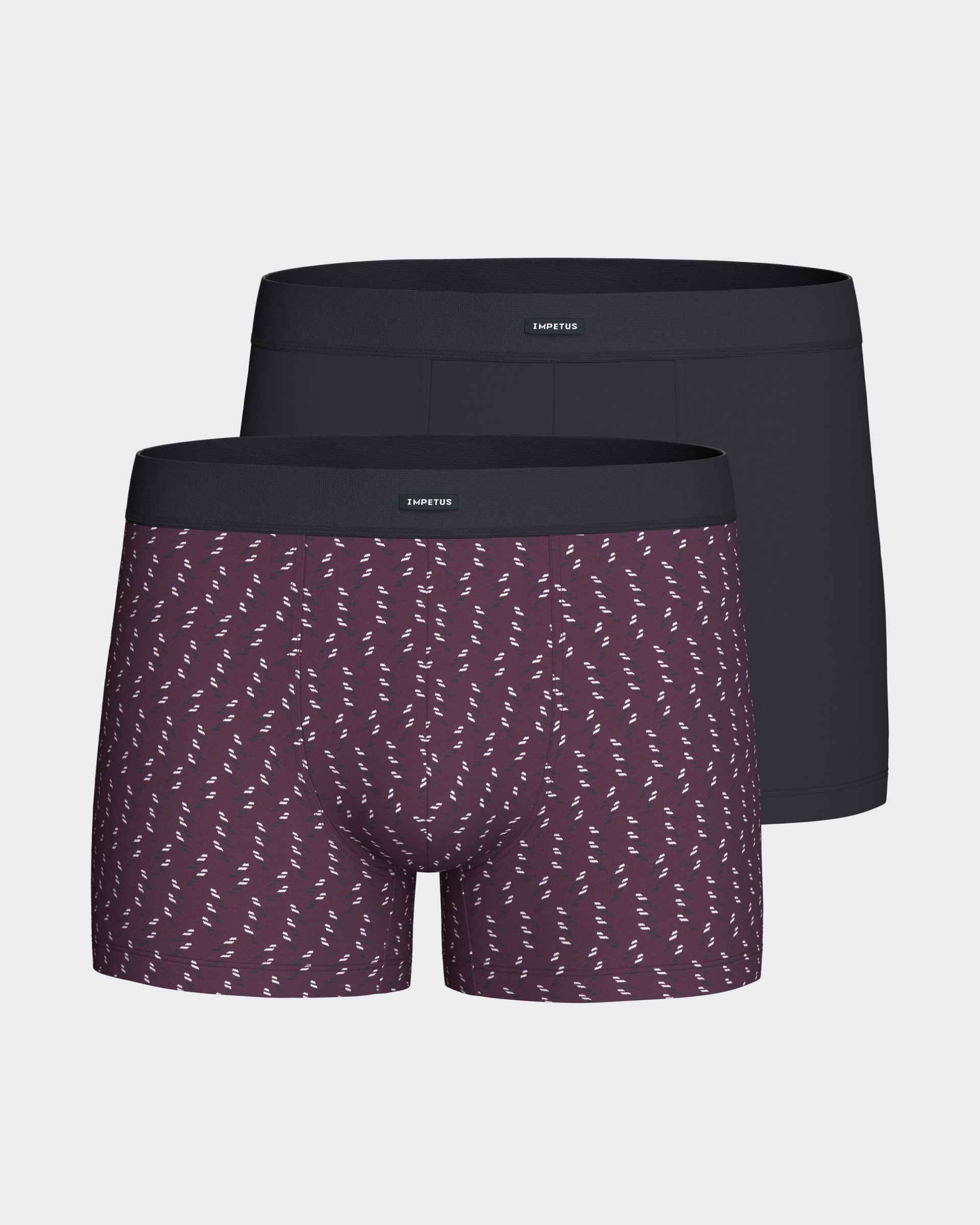 Pack of 2 Men's Boxers in Modal Cotton