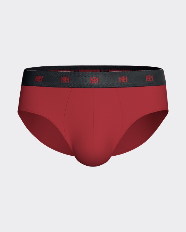 Pack of 2 men's briefs in Lyocell