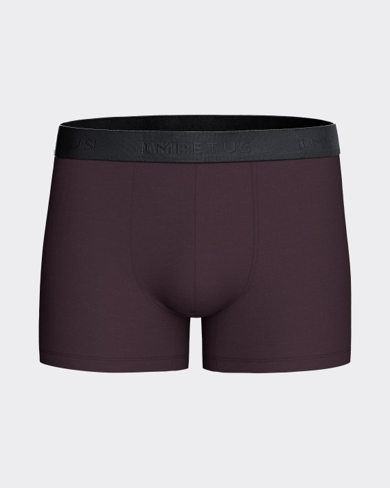 2er-Pack Boxershorts aus Baumwolle fr Herren
