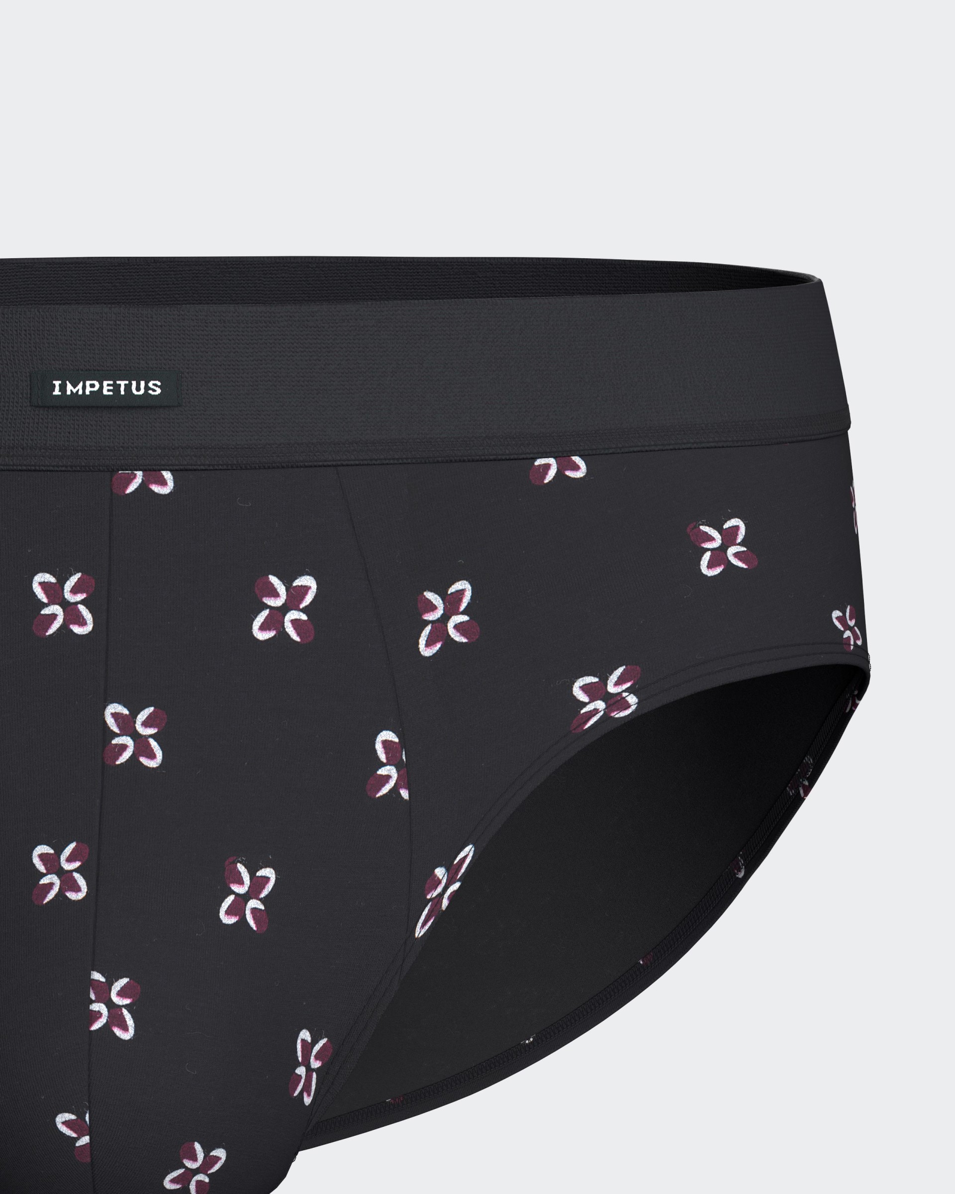 Pack of 2 men's briefs in cotton