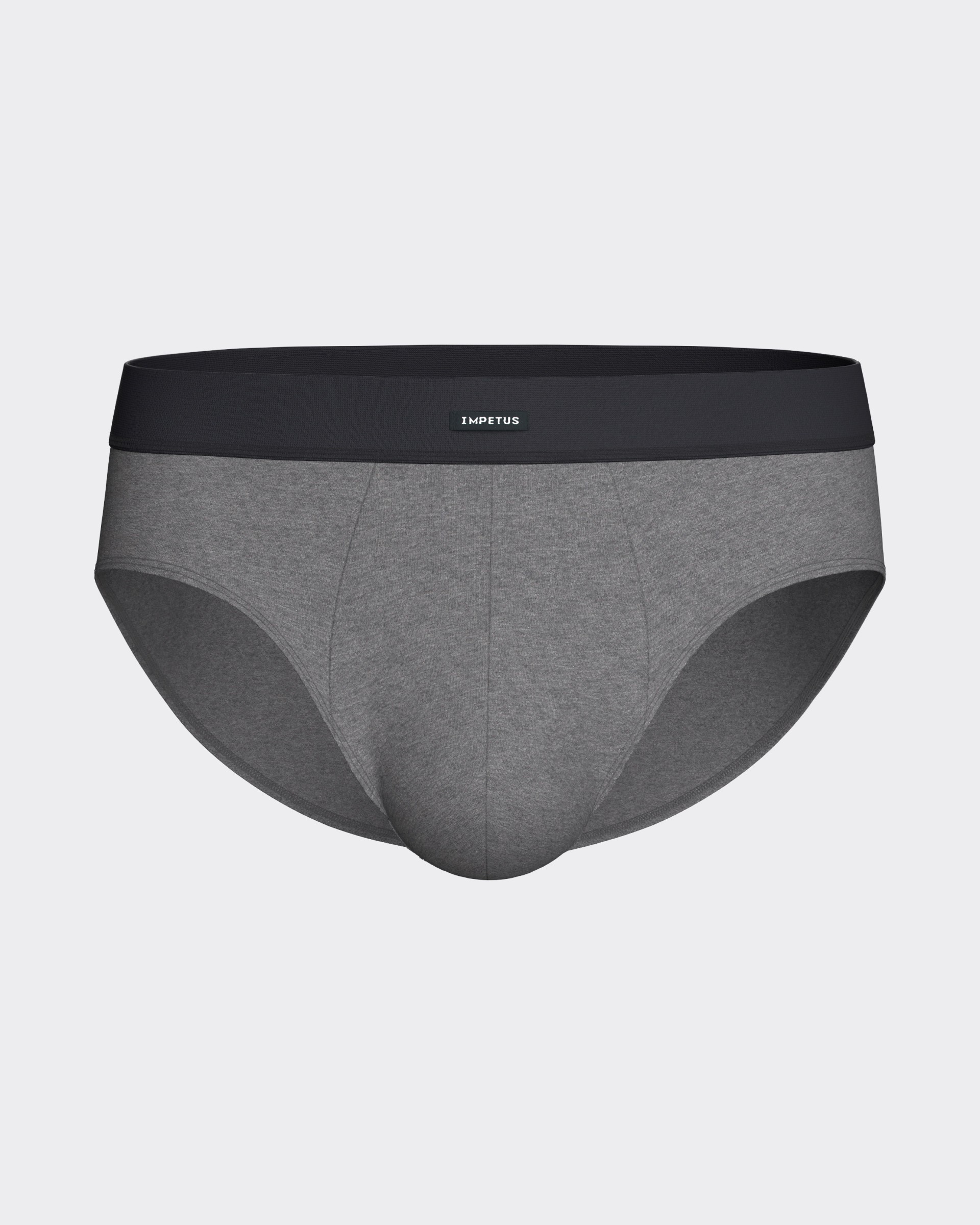 Pack of 2 men's briefs in cotton