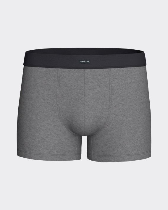 Packung mit 2 Boxershorts aus Baumwolle
