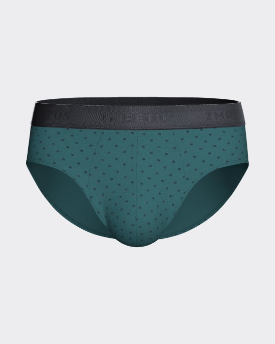 Packung mit 2 Herren-Slips aus Baumwolle