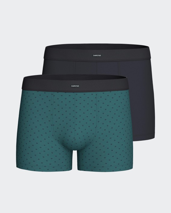 Packung mit 2 Boxershorts aus Baumwolle