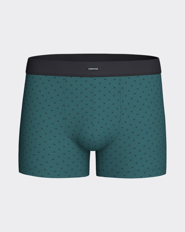 Packung mit 2 Boxershorts aus Baumwolle