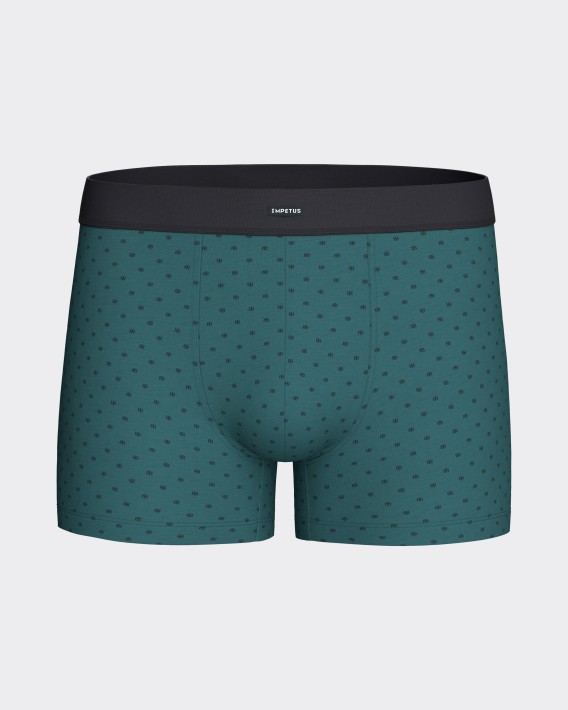 Packung mit 2 Boxershorts aus Baumwolle
