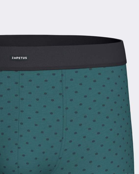 Packung mit 2 Boxershorts aus Baumwolle