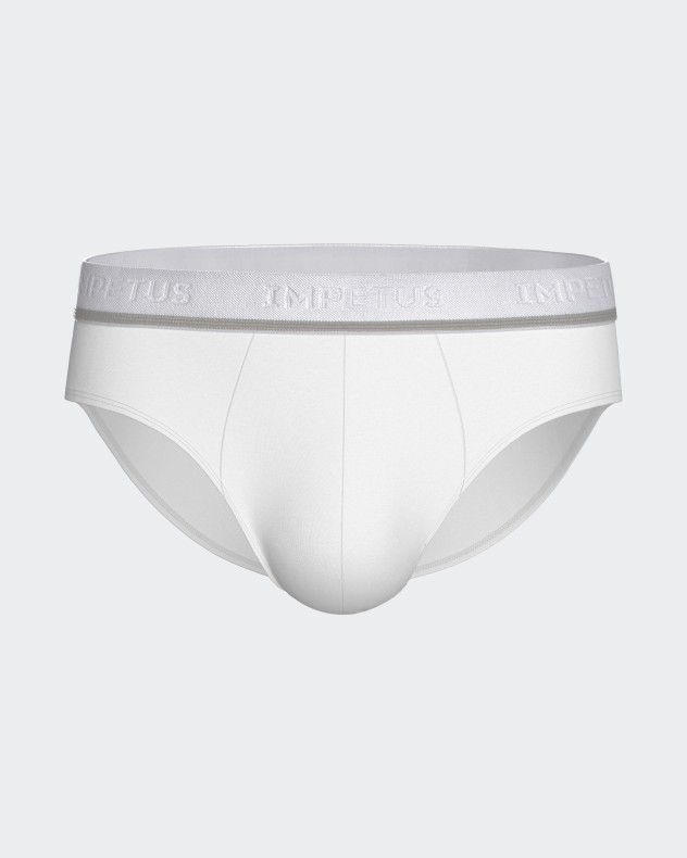 Lot de 2 slips en coton élasthanne
