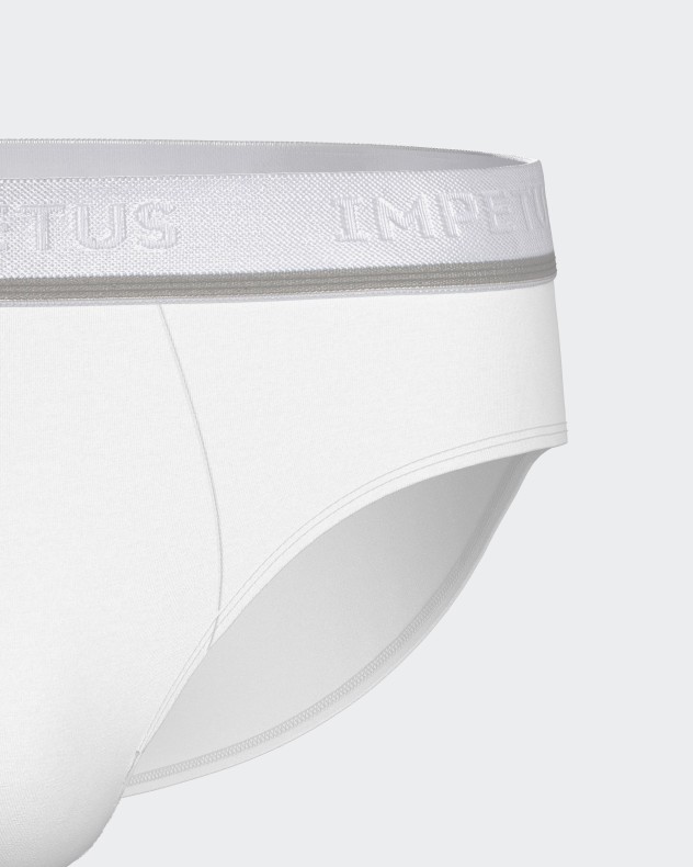 Lot de 2 slips en coton élasthanne