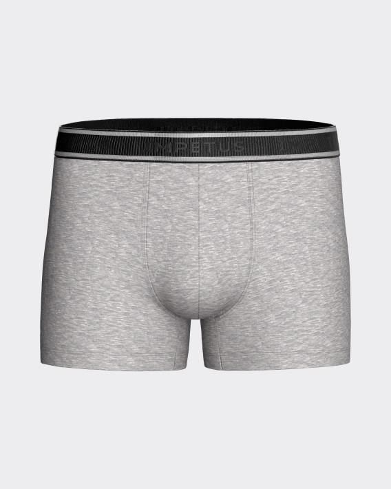 Packung mit 3 Boxershorts fr Herren