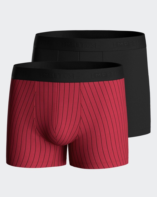 Lot de 2 boxers en viscose