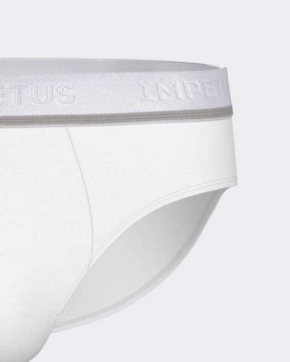 Pack 2 Slips de hombre Cotton Stretch