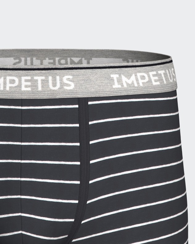 Pakke 2 underbukser af mand i bio bomuld