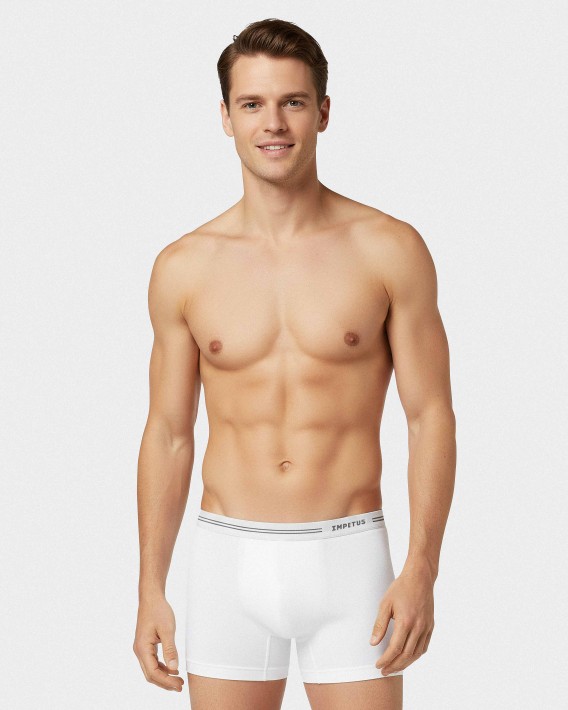 Mænds underbukser Bomuld Seamless