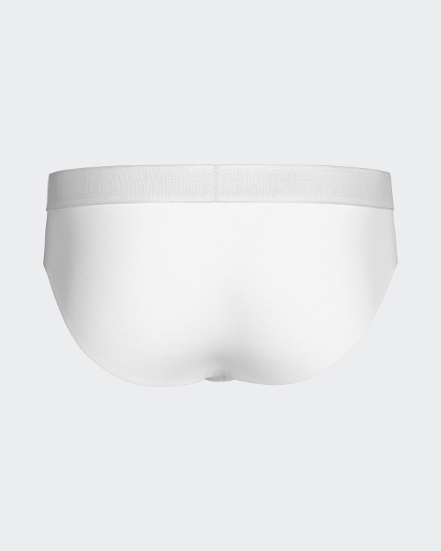 Men's brief Executive