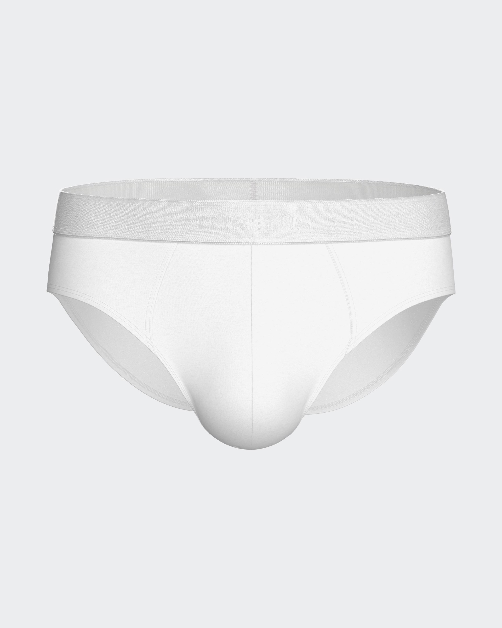 Men's brief Executive