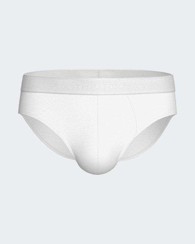 Men's brief Executive