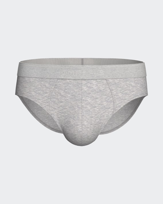 Men's brief Executive