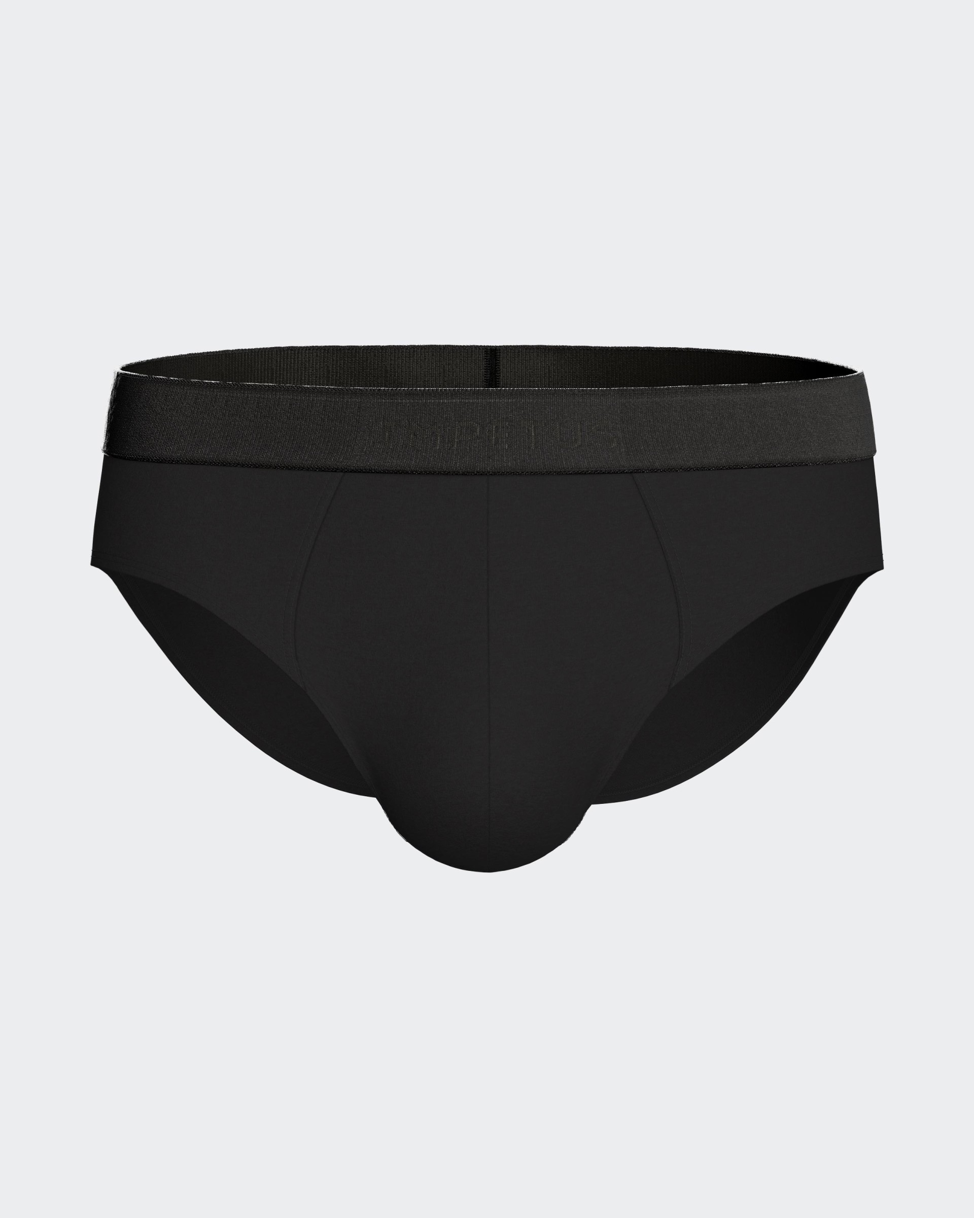 Men's brief Executive