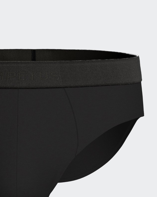 Men's brief Executive