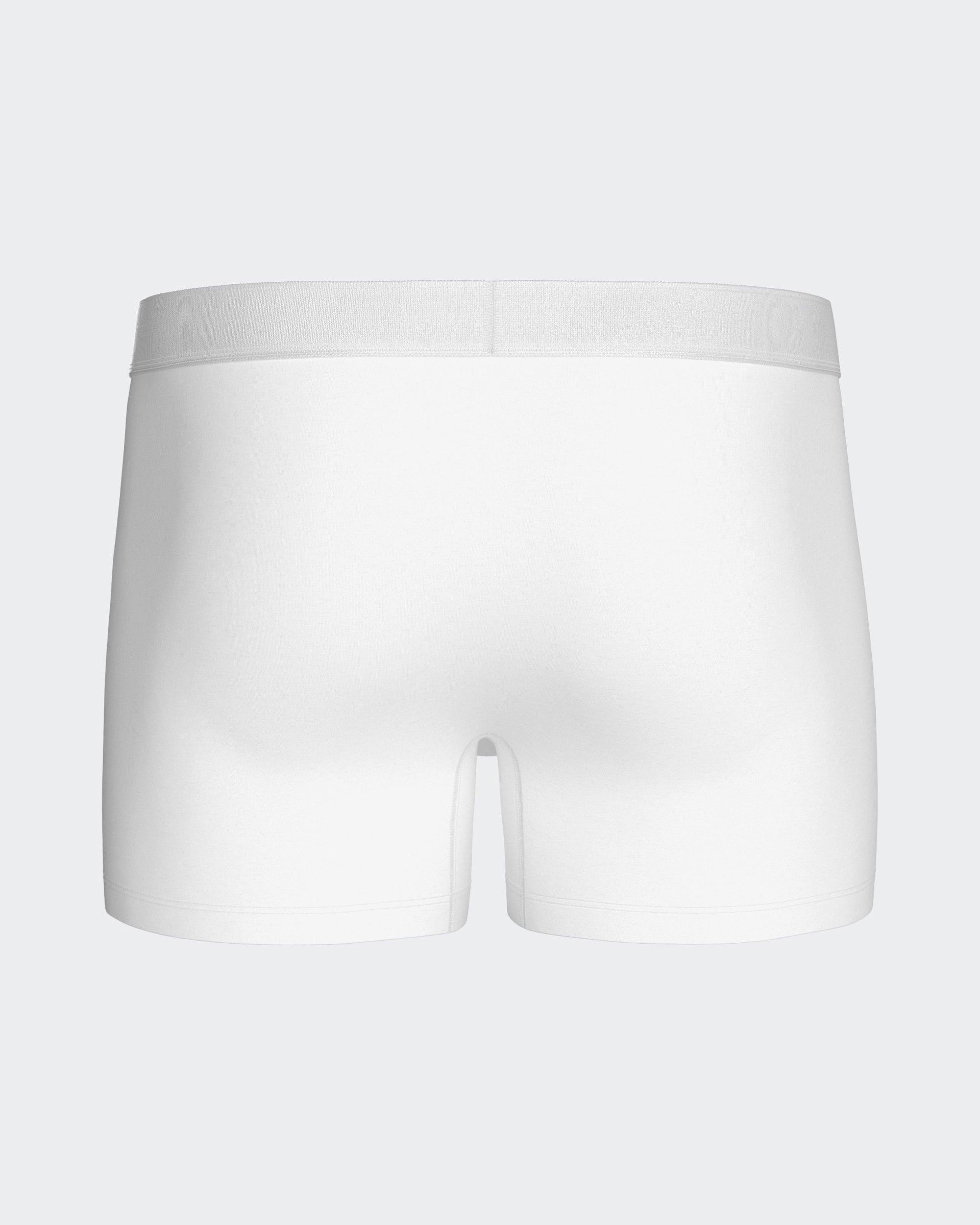 Herren Boxershorts Executive