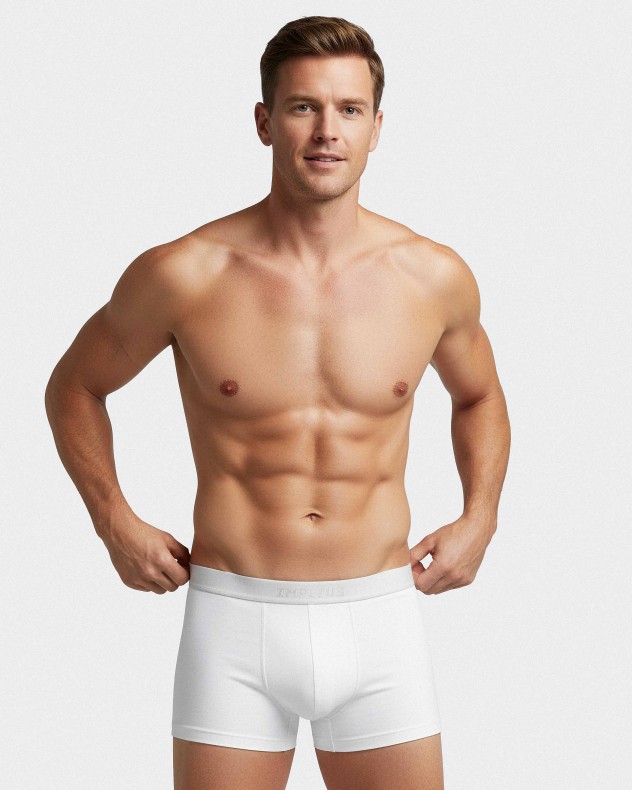 Boxer de homem Executive