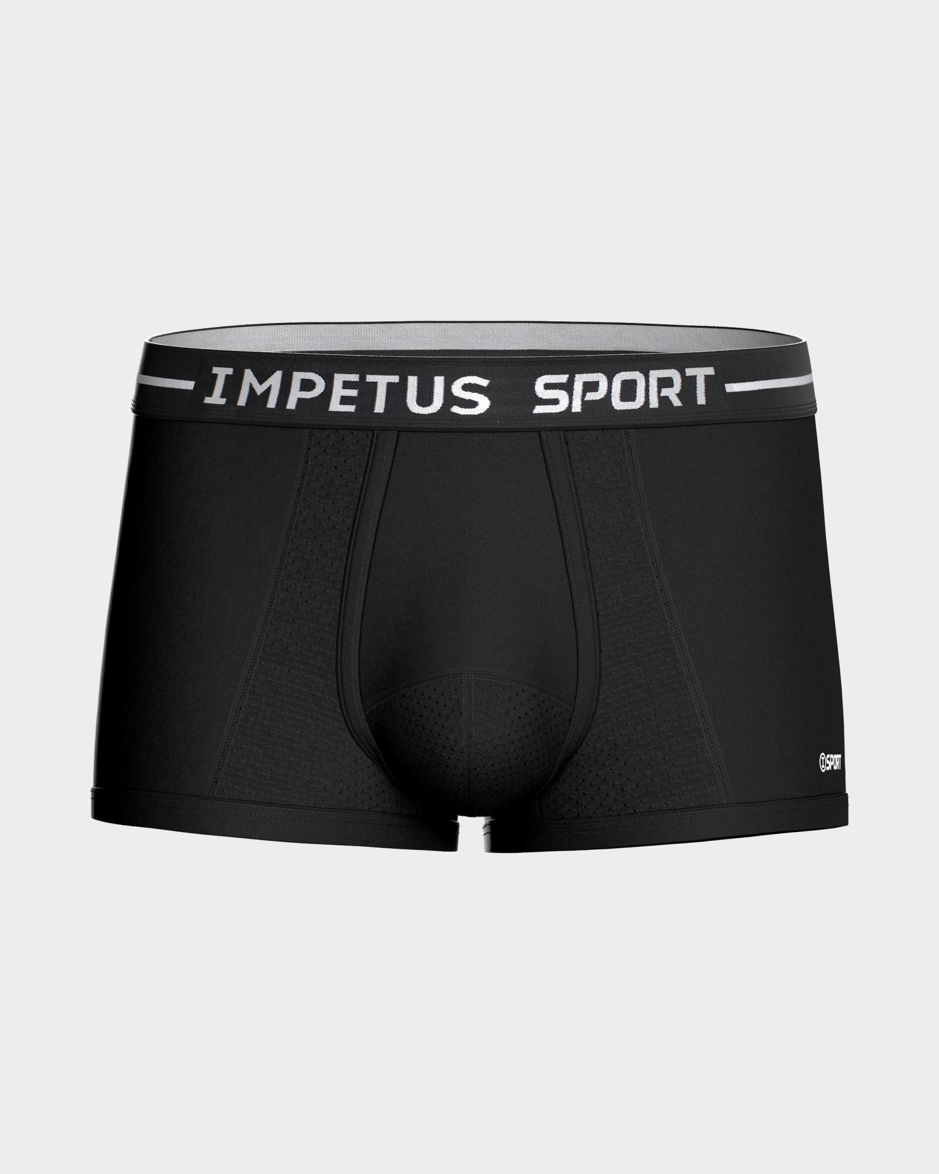 Boxer court Sport
