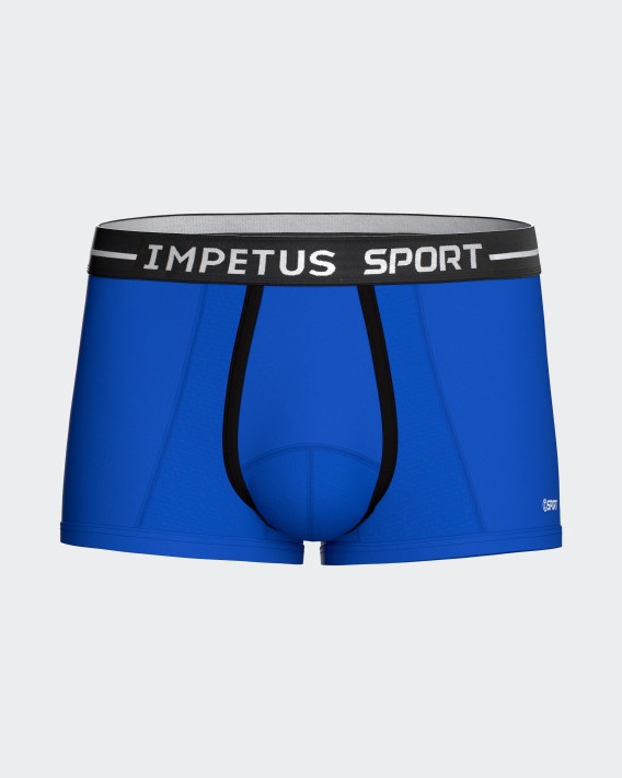Boxer court Sport