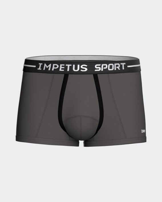 Boxer court Sport