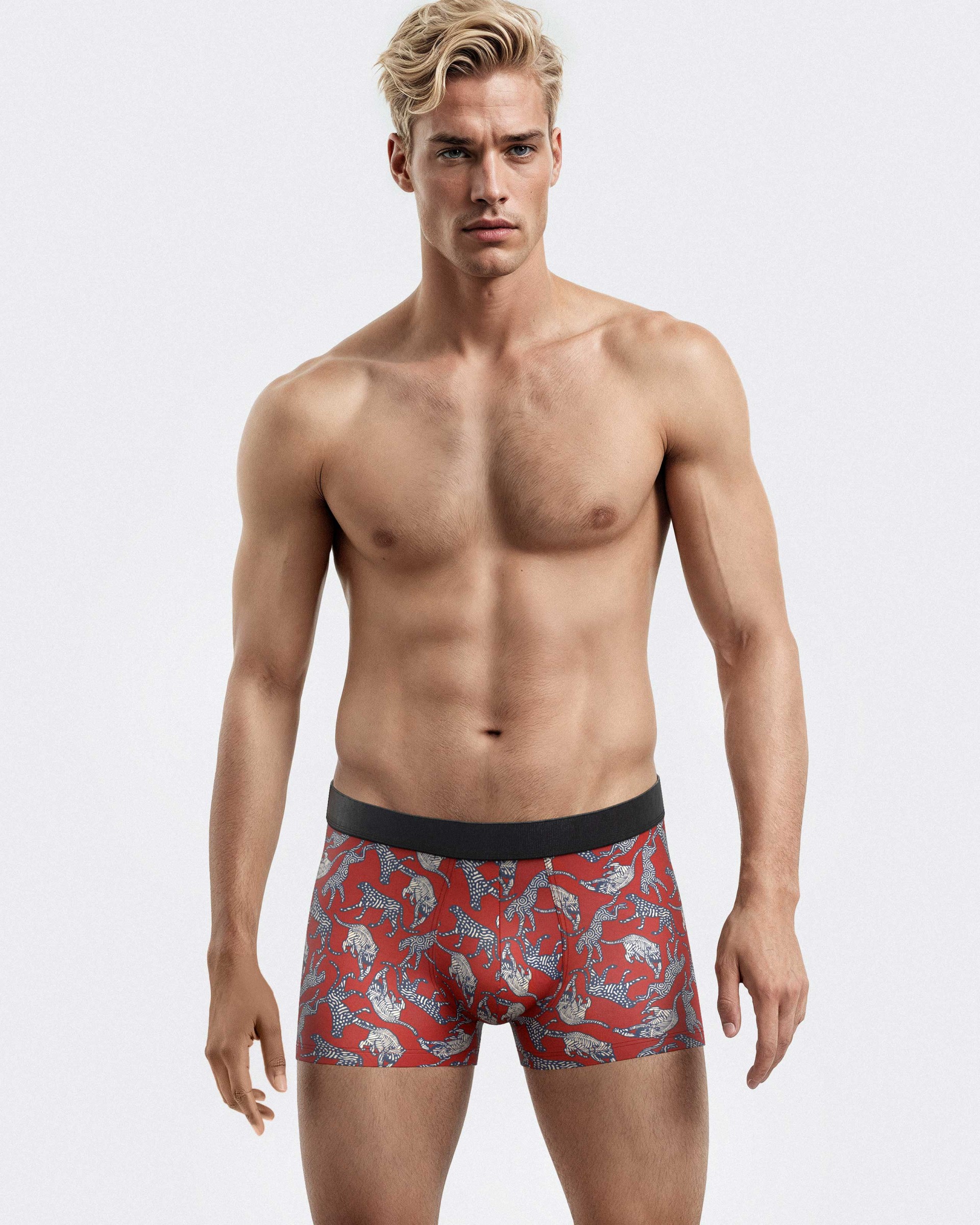 II HM BOXER Medio 0 4 P52 Pack2