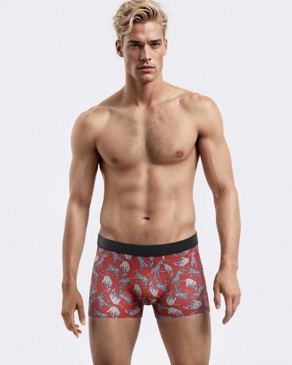 II HM BOXER Medio 0 4 P52 Pack2