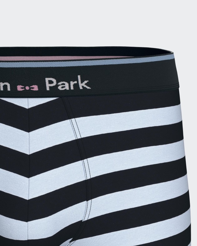 Pack of 2 boxers in Cotton