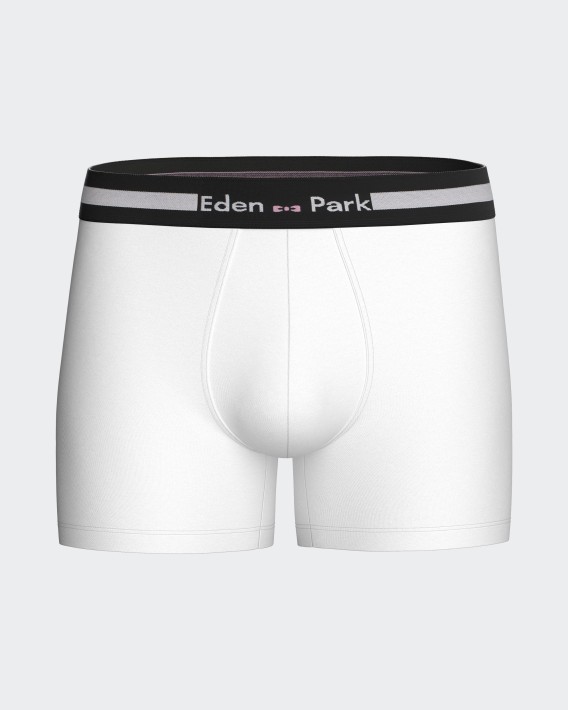 Pack of 2 plain boxers in Cotton