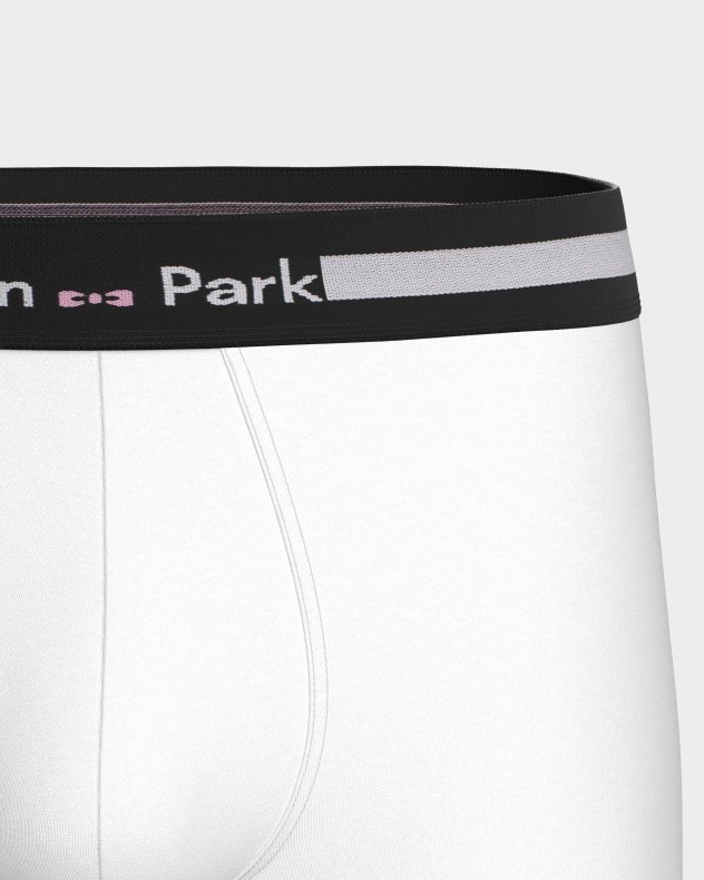 Pack of 2 plain boxers in Cotton